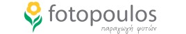 ΦΩΤΟΠΟΥΛΟΣ ΔΗΜΗΤΡΙΟΣ
