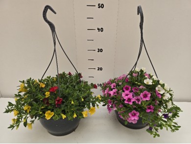 ΚΑΡΙΛΟΝ 3ΧΡΩΜΟ ΚΡΕΜΑΣΤΗ ΠΙΑΤΕΛΑ 23 cm 3,7 λίτρα