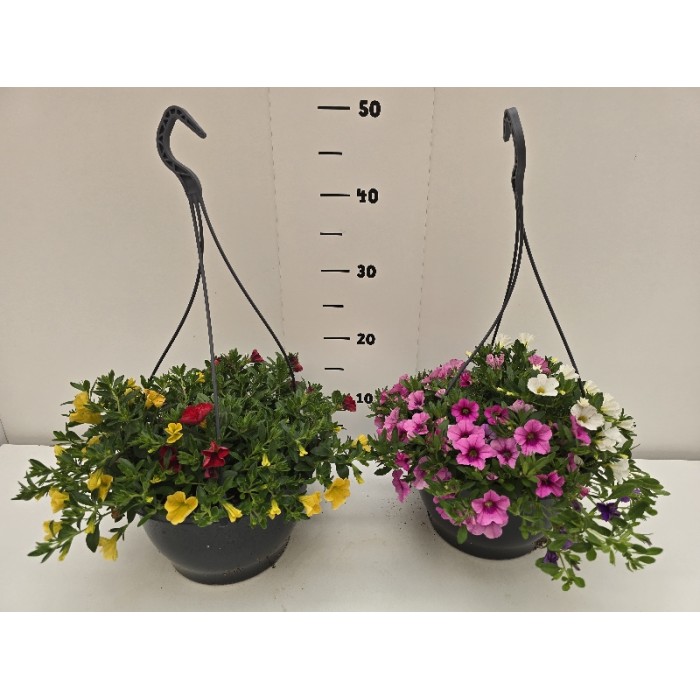 ΚΑΡΙΛΟΝ 3ΧΡΩΜΟ ΚΡΕΜΑΣΤΗ ΠΙΑΤΕΛΑ 23 cm 3,7 λίτρα