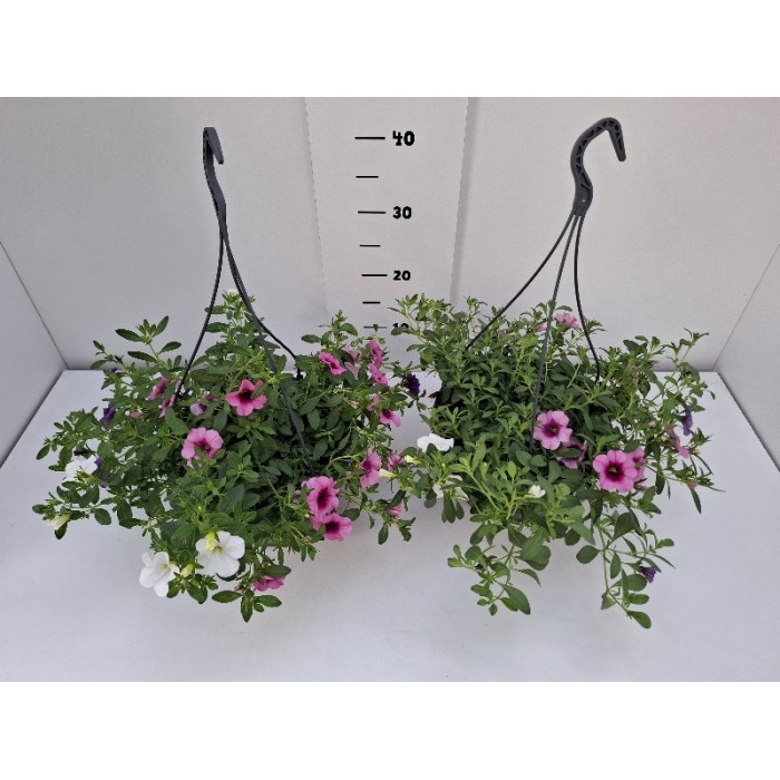 ΚΑΡΙΛΟΝ 3ΧΡΩΜΟ ΚΡΕΜΑΣΤΗ ΠΙΑΤΕΛΑ 23 cm 3,7 λίτρα
