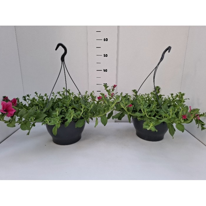 ΣΟΥΡΦΙΝΙΑ ΚΡΕΜΑΣΤΗ ΠΙΑΤΕΛΑ 27 cm 6 λίτρα