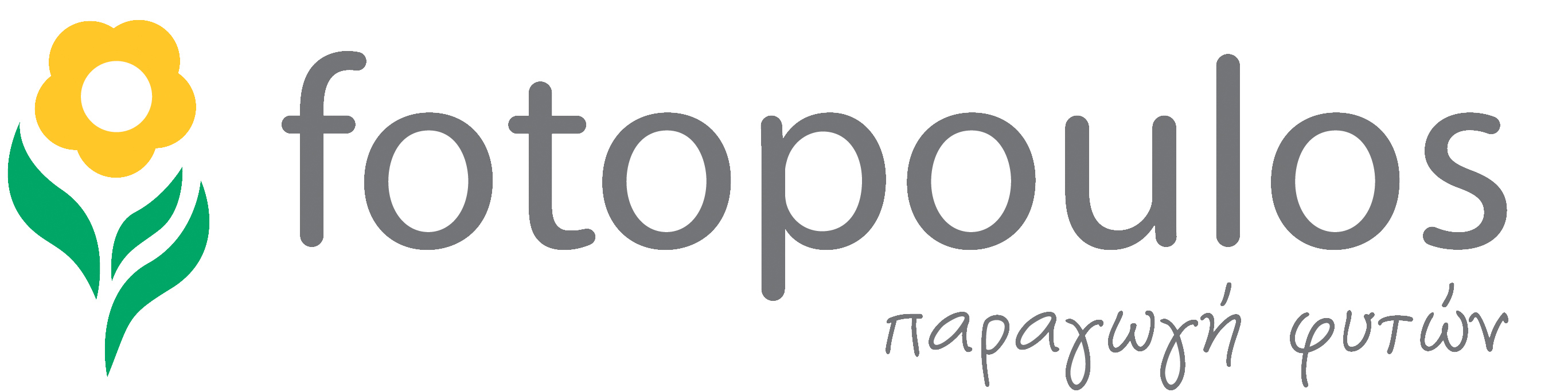 ΦΩΤΟΠΟΥΛΟΣ ΔΗΜΗΤΡΙΟΣ